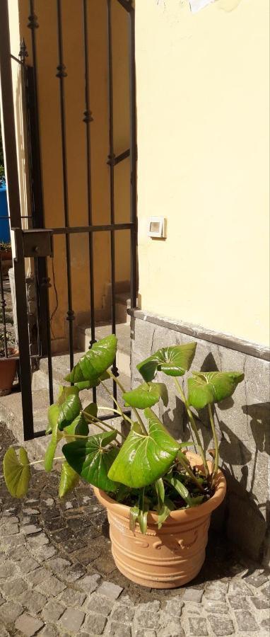 Pompei Vesevus Apartament Boscotrecase Exteriér fotografie